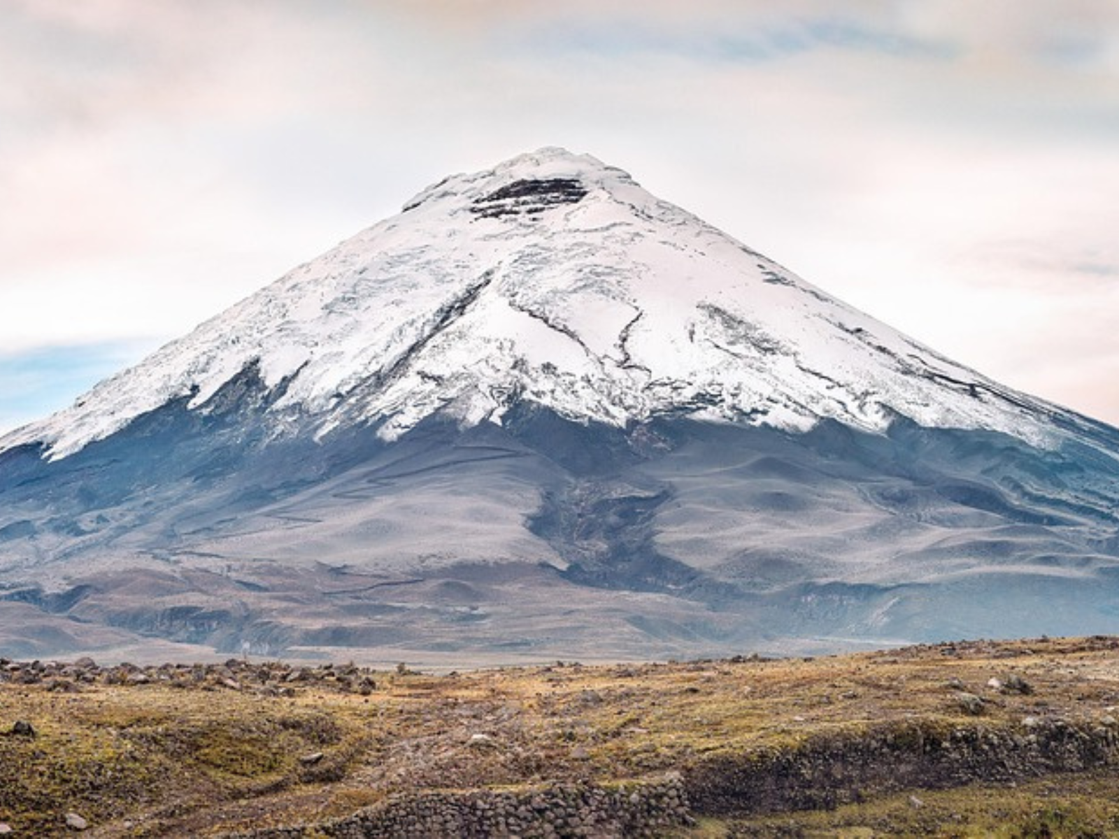 Diseño sin título (31)